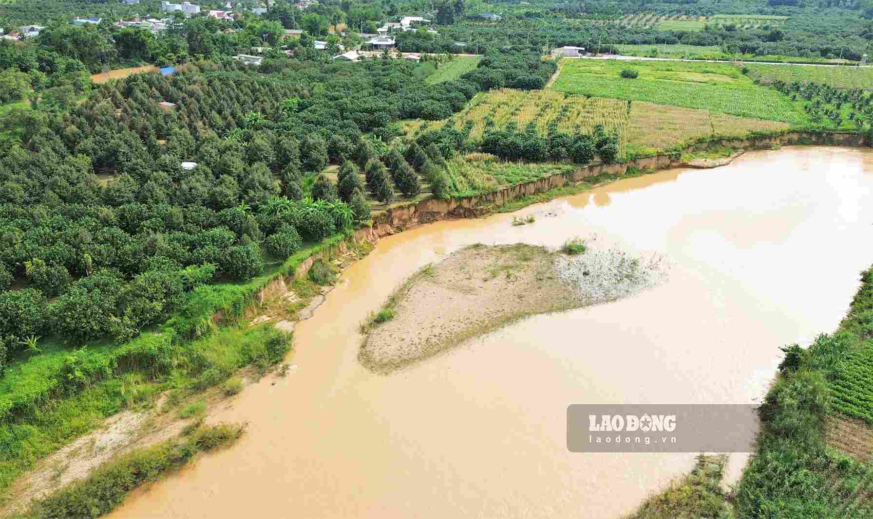 Landslides along the Da Quay riverbank threaten production land of dozens of households in Da Teh commune 2. Photo: Phuc Khanh