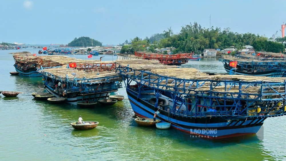 Binh Son commune (Quang Ngai) has many fishing boats participating in seafood exploitation in Truong Sa sea area, combined with protecting sea and island sovereignty. Photo: Vien Nguyen