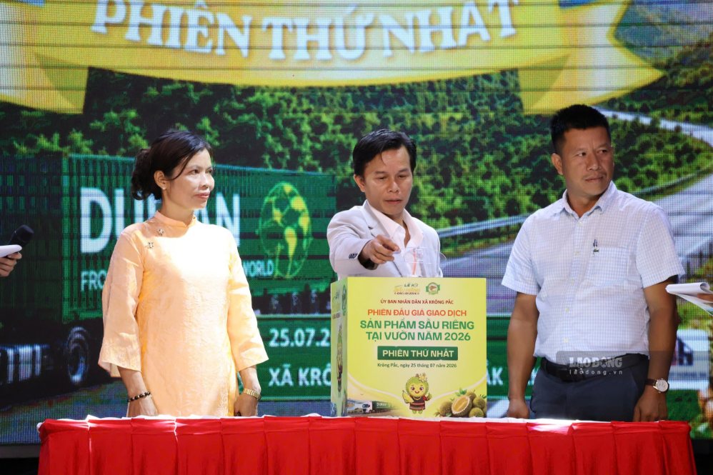 ダクラク省でのドリアン取引オークションの様子。写真:バオ・チュン