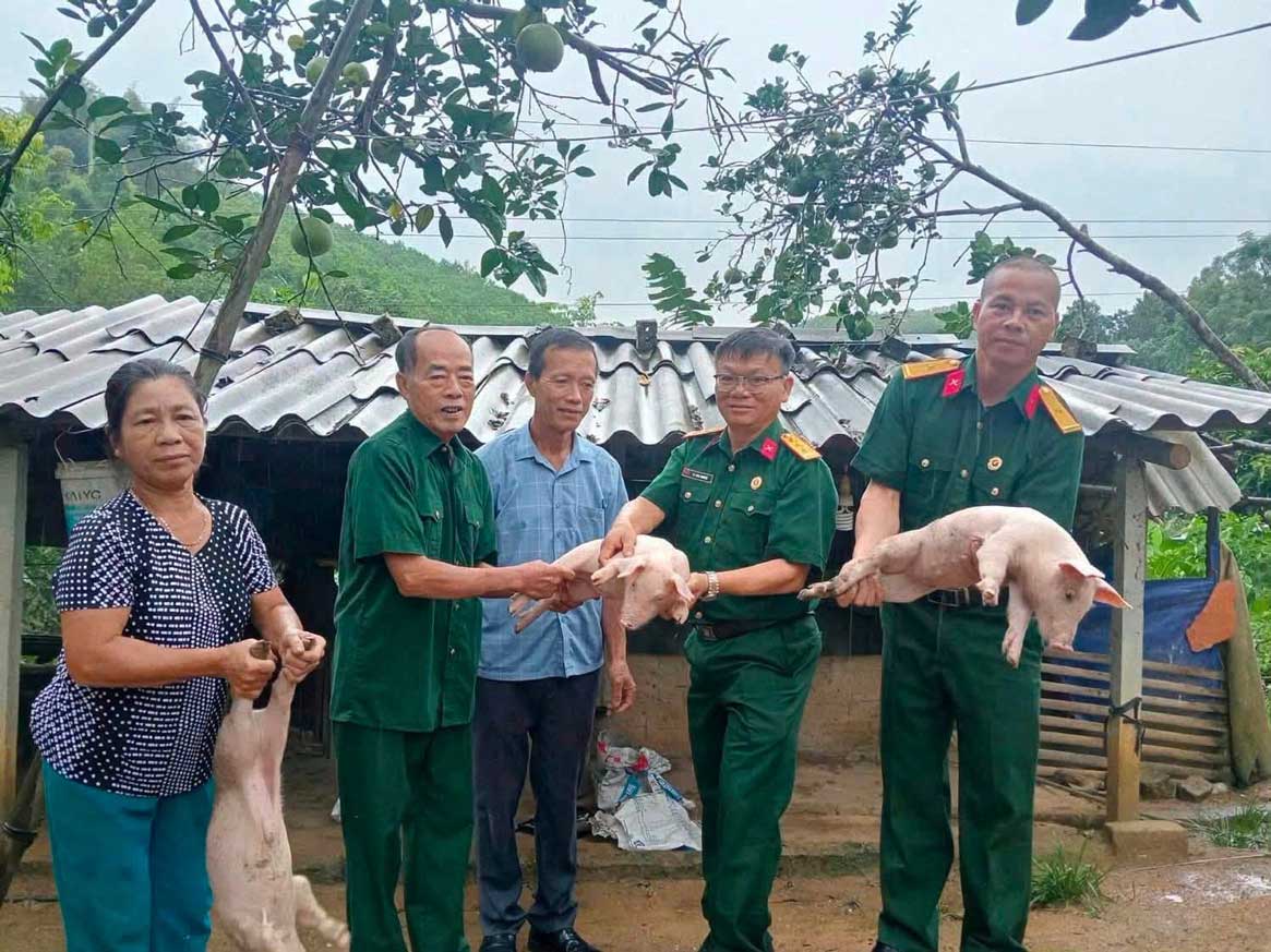 Van Phu Ward Veterans Association gives breeding pigs to support members of Doan Van Chi to develop livelihoods. Photo: Van Phu Ward