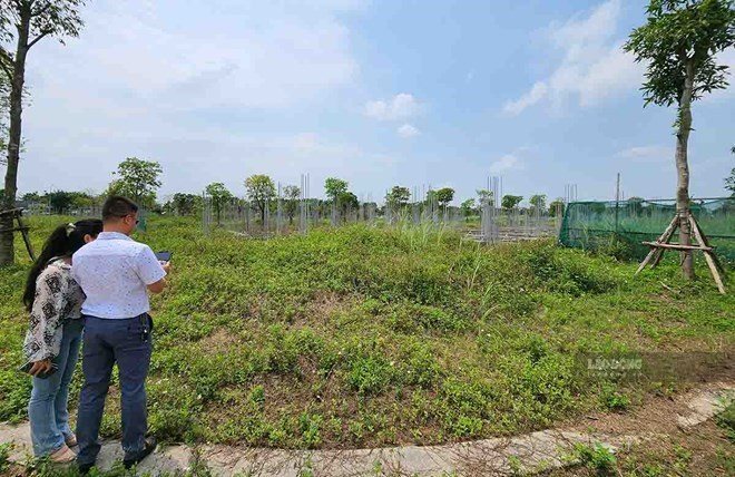 The Department of Land Administration has just responded to people's reflections on the application of regulations on handling violating land before July 1, 2014. Photo: Cao Nguyen