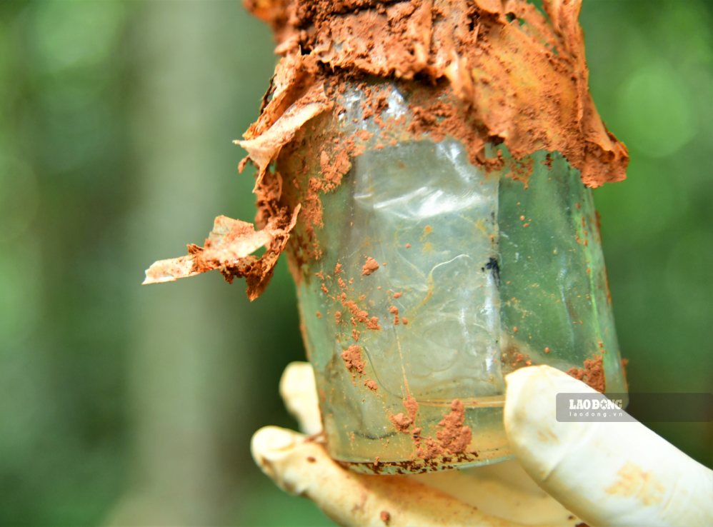 Glass jar with a piece of paper, suspected of containing information about the martyr. Photo: Duy Dong
