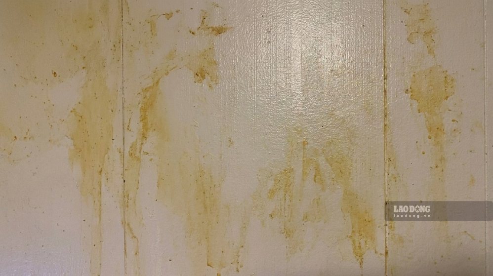 Standard yellow stain treatment will help keep the wall clean and as if it has just returned. Photo: Tuan Dat