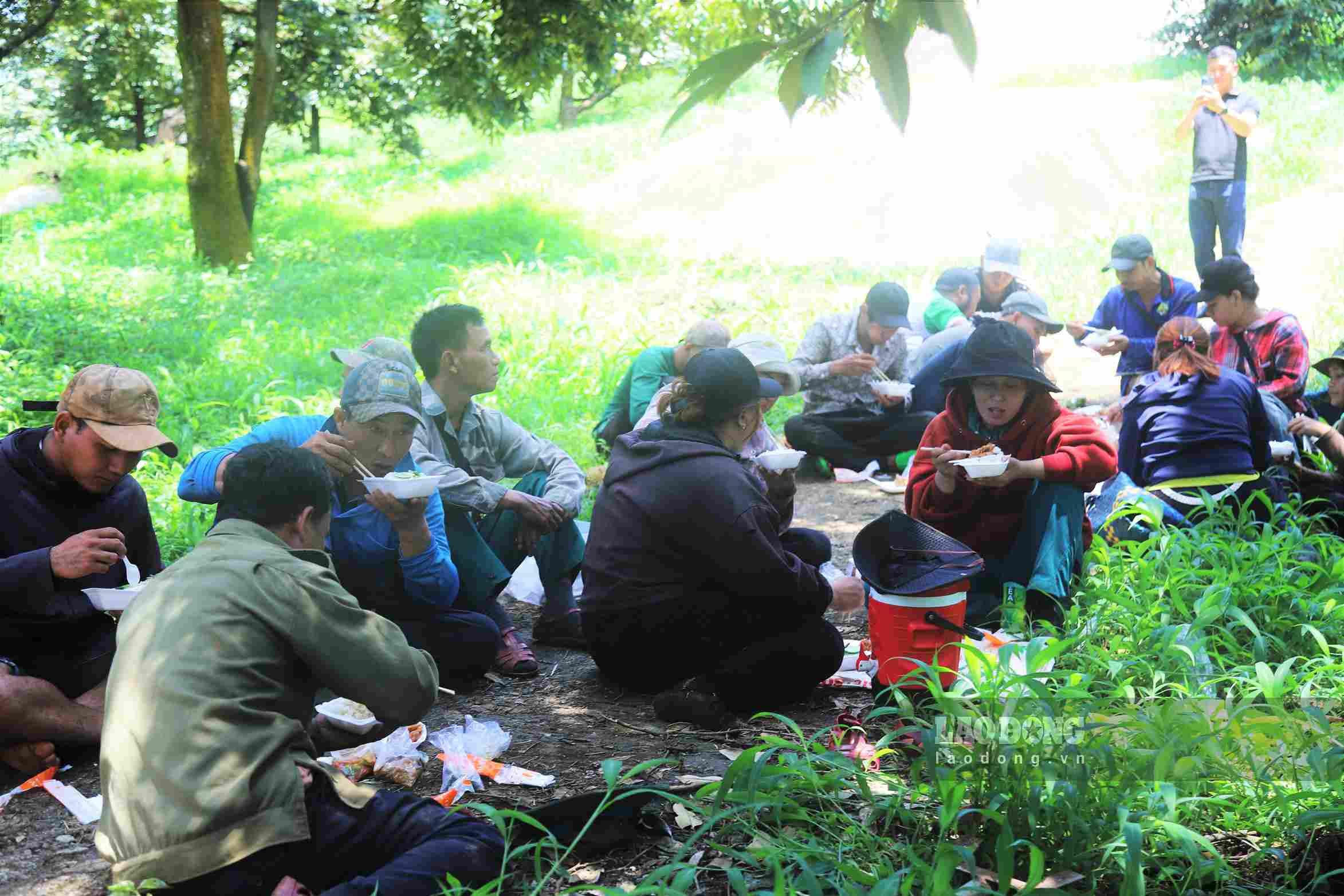 Tranh thủ nghỉ ngơi, ăn vội giữa vườn để tiếp tục công việc thu tiền triệu mỗi ngày trong mùa sầu riêng. Ảnh: Phúc Khánh