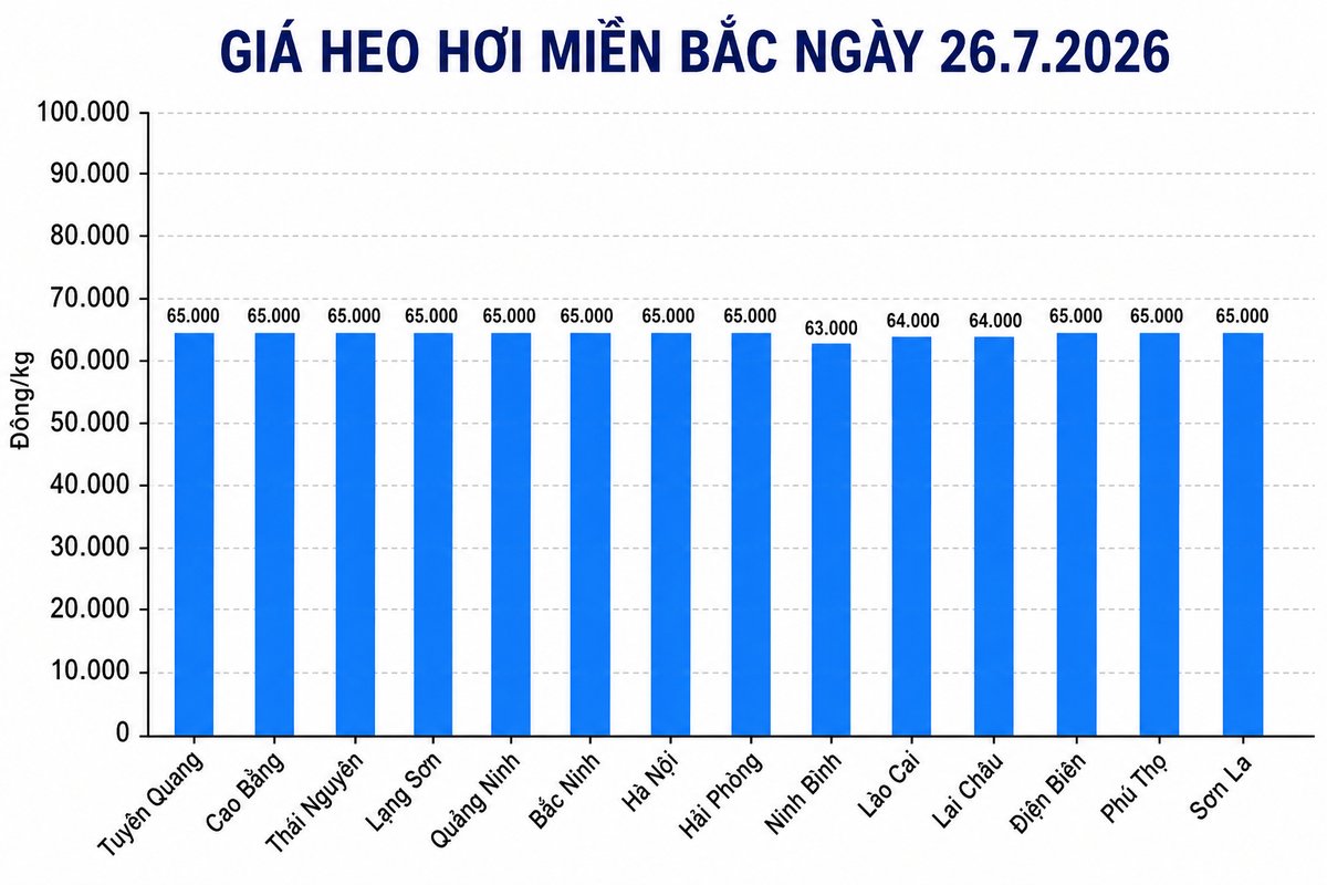 Giá heo hơi hôm nay 26.7 tại khu vực miền Bắc. Đồ họa sử dụng AI