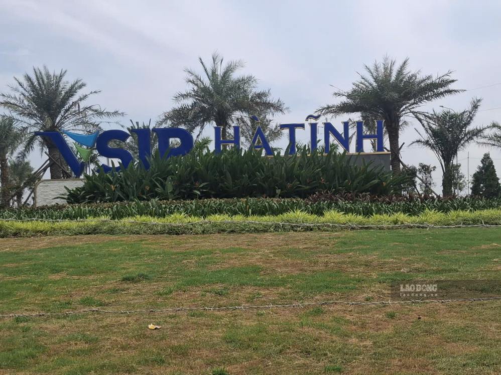 Cổng dự án đã trồng cây xanh trang trí. Ảnh: Trần Tuấn