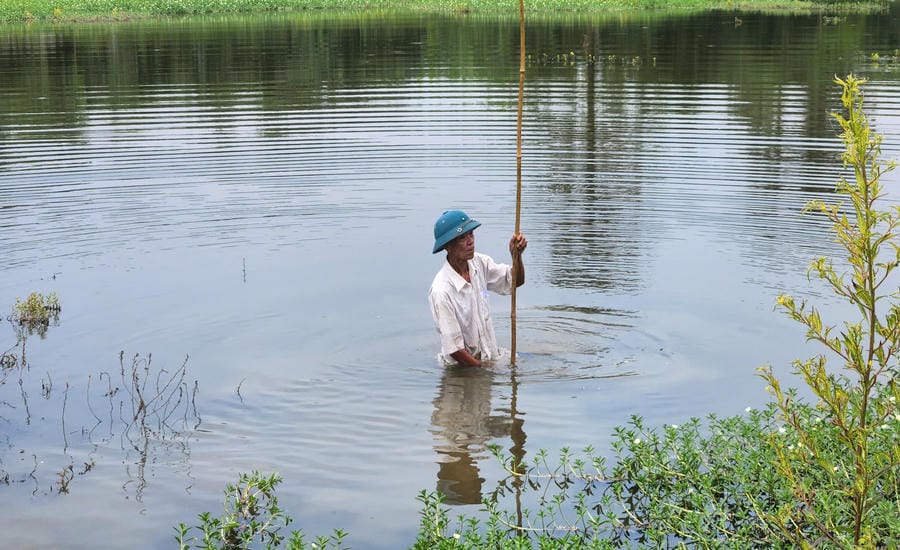 Under the rice fields, water has flooded to the level of a human body. Photo: Loc An