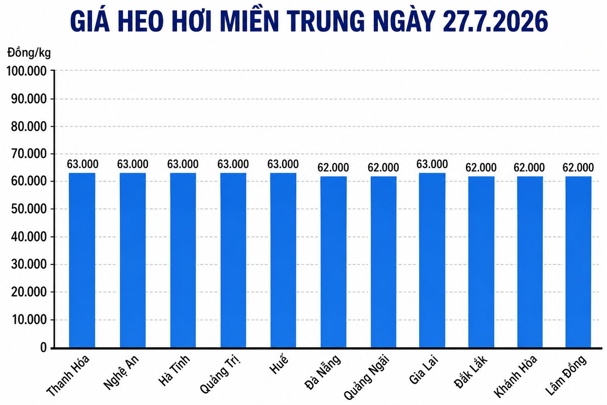 Giá heo hơi hôm nay 27.7 tại khu vực miền Trung. Đồ họa: Thùy Linh