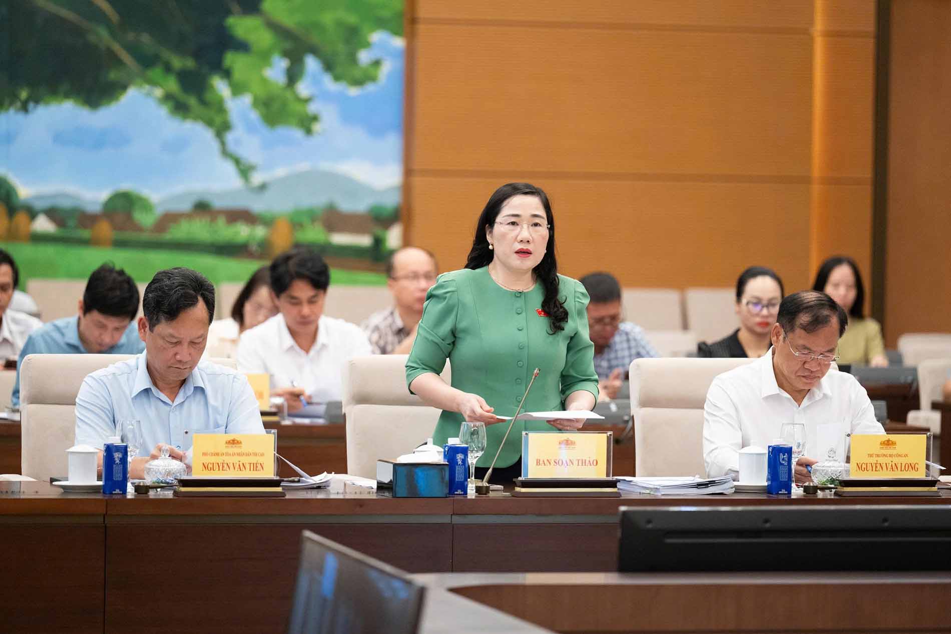 Phó Chủ nhiệm Ủy ban Pháp luật và Tư pháp Nguyễn Thị Thủy