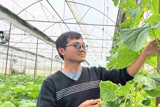 Cử nhân sinh học về làm vườn ở Đà Lạt, thu gần 200 triệu đồng/tháng