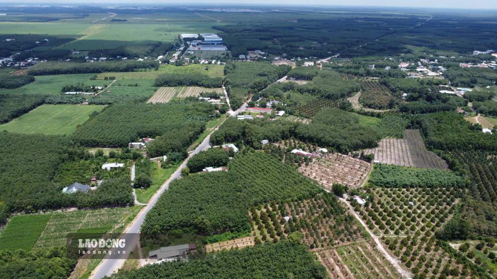 The Ho Chi Minh road project, the Chon Thanh - Duc Hoa section passing through Dong Nai, Ho Chi Minh City and Tay Ninh has a length of 72.75 km. Photo: Dinh Trong