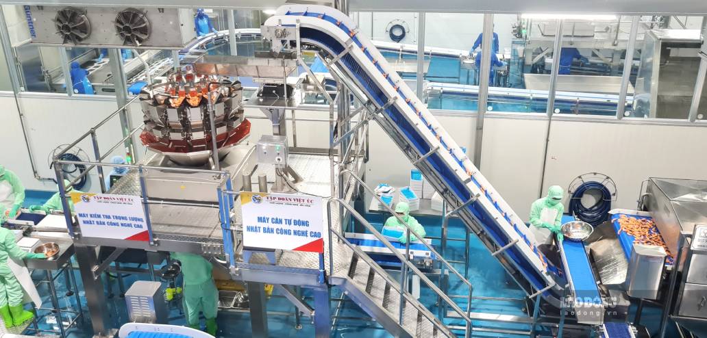 Modern production line at a seafood export processing enterprise in Ca Mau. Photo: Nhat Ho.