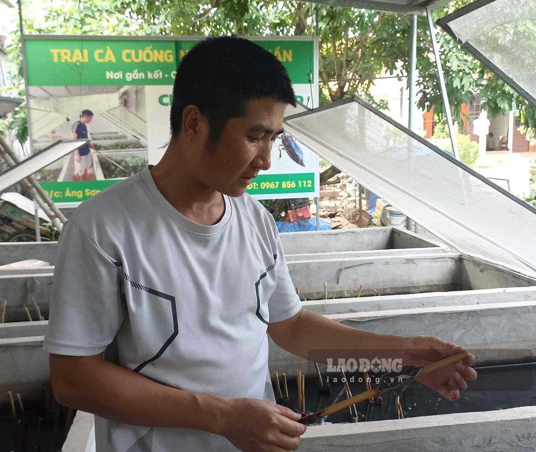 Mr. Nguyen Duc Thuan's eggplant farm earns more than 200 million VND per year. Photo: Nguyen Truong