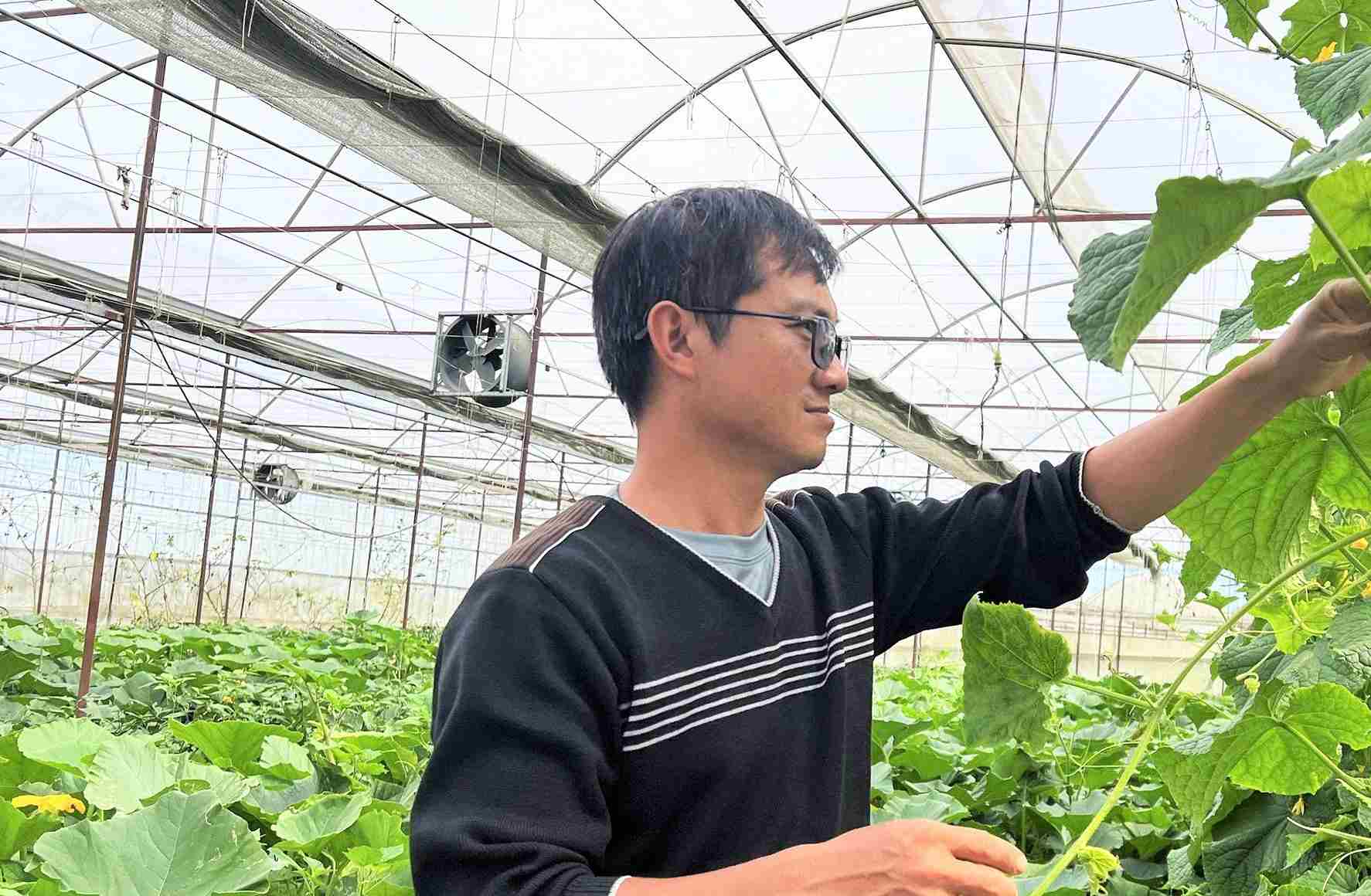Cử nhân sinh học Đinh Tiến Đăng kiểm tra vườn sản xuất nông nghiệp công nghệ cao của gia đình tại phường Xuân Trường - Đà Lạt. Ảnh: Phúc Khánh