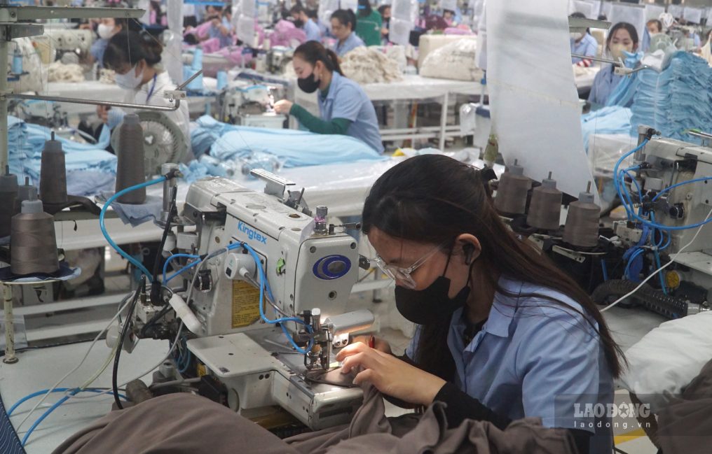 Cơ hội việc làm đối với người lao động tại Cà Mau sẽ nhiều hơn. Ảnh: Nhật Hồ.
