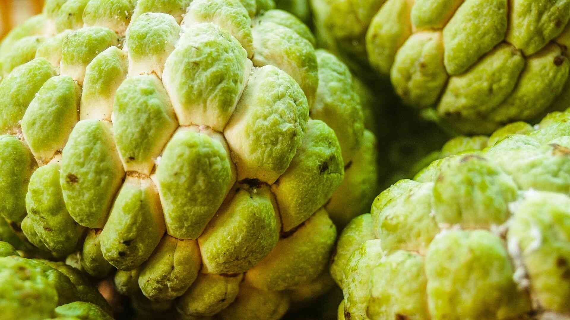Supplementing with custard apples in the right amount can contribute to supporting blood pressure regulation and enhancing cardiovascular health. Photo: Canva