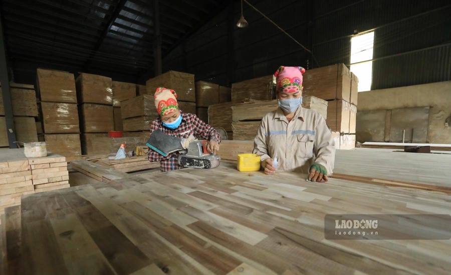 Businesses believe that if the deep-processing wood industry wants to develop sustainably, it must first solve the raw material problem. Photo: Hai Nguyen