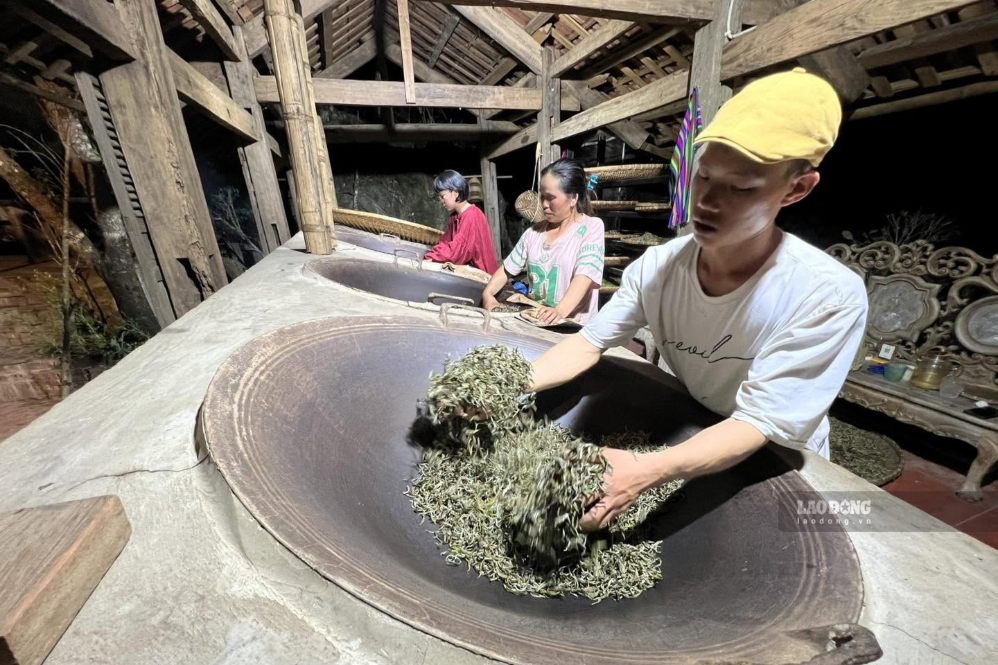 Du khách trải nghiệm hái chè và sao chè bằng tay tại tiệm trà “Kiên nông dân”, xã Tà Xùa, tỉnh Sơn La. Ảnh: Thành Kiên