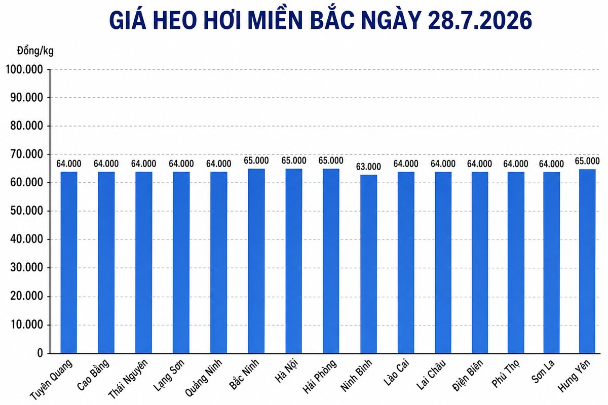 Giá heo hơi hôm nay 28.7 tại khu vực miền Bắc. Đồ họa sử dụng AI