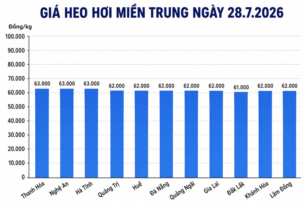 Giá heo hơi hôm nay 28.7 tại khu vực miền Trung. Đồ họa: Thùy Linh