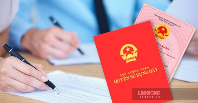 Ministry of Agriculture and Environment responds to the basis for determining land type