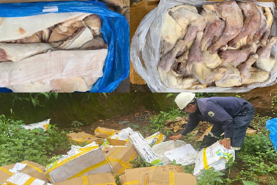 Les forces fonctionnelles ont détruit près d'une tonne de viande de porc et de cuisses de poulet congelées d'origine inconnue. Photo: Fournie par le sous-département QLTT de la province de Gia Lai