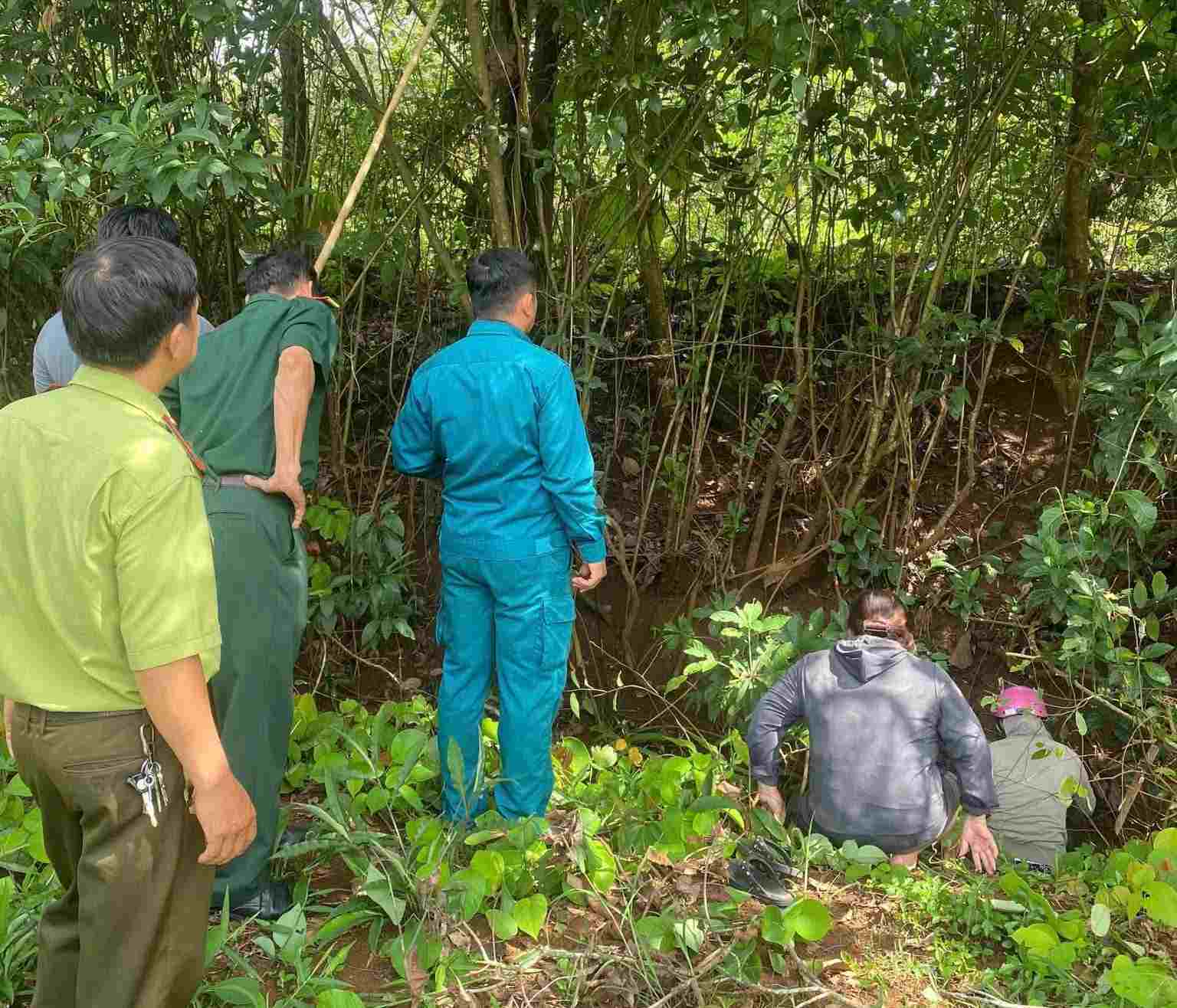 Functional forces of Dak O commune search for an animal suspected of being a crocodile that appeared in the stream. Photo: Dak O Commune Police