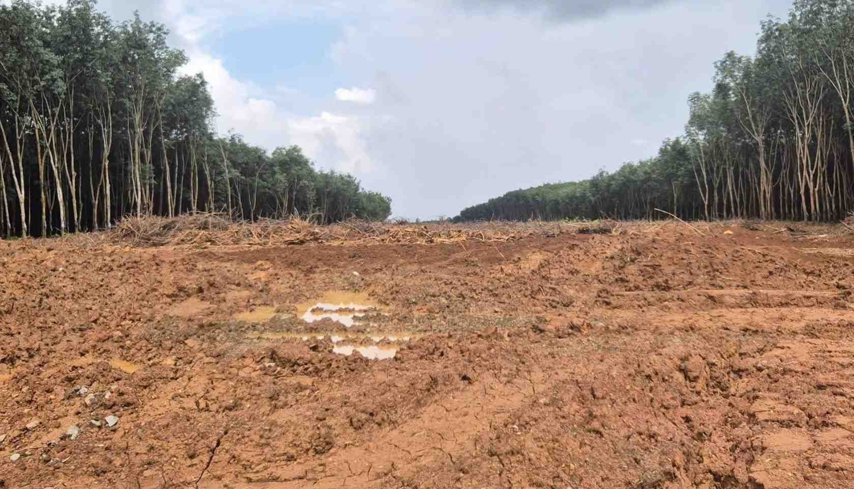 Recovering 112 hectares of land in Tho Son commune to build Gia Nghia - Chon Thanh expressway. Photo: Tho Son Commune People's Committee