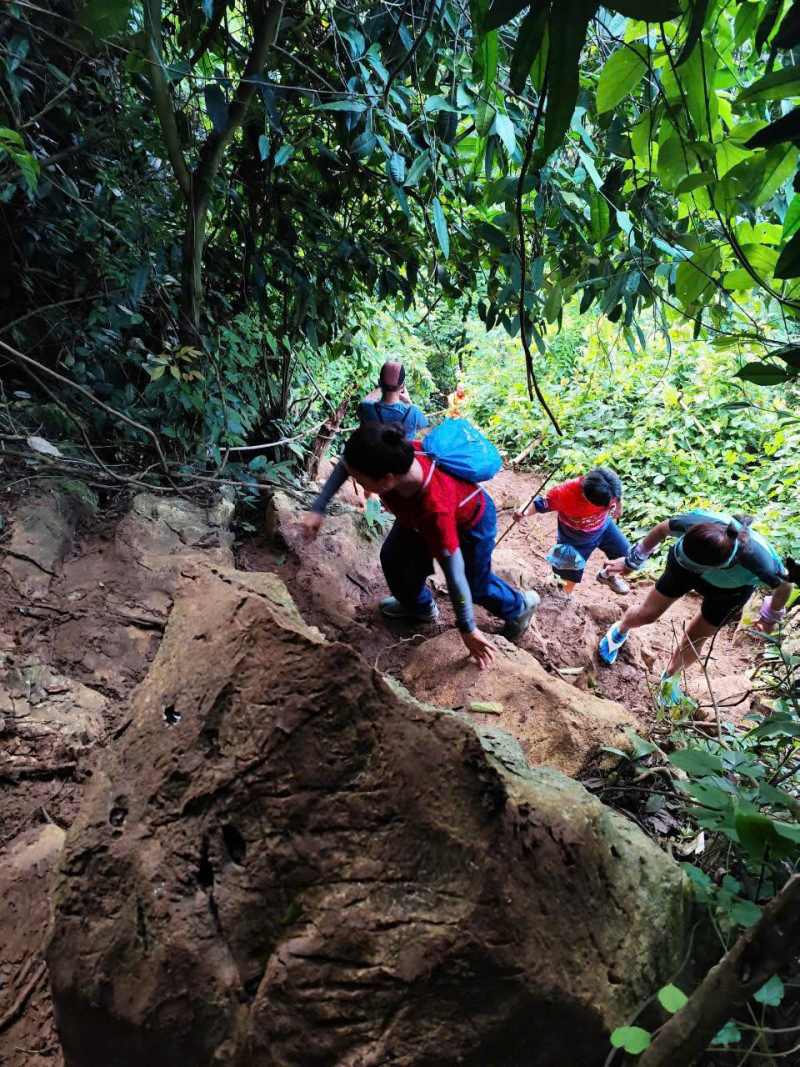 Cung đường trekking không thiếu những đoạn đường hiểm trở. Ảnh: Nhân vật cung cấp