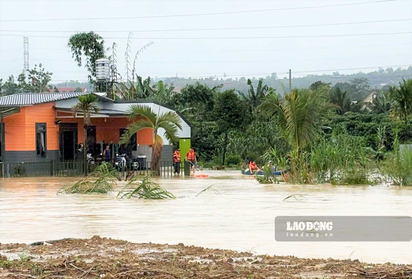 Nhà dân tại đường Xuân Diệu (phường 3 Bảo Lộc) bị nước lũ đổ về dâng cao cô lập. Ảnh: Phúc Khánh 