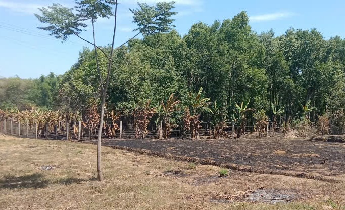 Công an xã Nam Trạch làm rõ vụ đốt thực bì gây cháy lan. Ảnh: Theo Công an tỉnh Quảng Trị