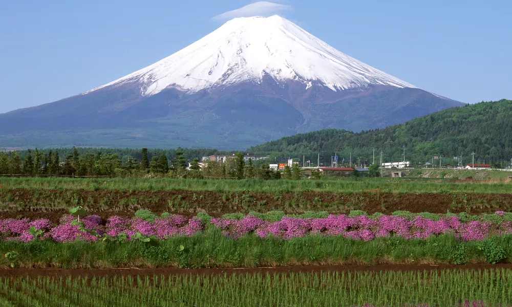 Sau khi đường bay thẳng Hà Nội - Shizuoka khai trương từ tháng 4.2026, tỉnh này cũng triển khai chính sách hỗ trợ các công ty lữ hành Việt Nam đưa khách lưu trú tại địa phương, đồng thời bố trí nhân viên người Việt và xây dựng các dịch vụ phù hợp với thị hiếu của du khách Việt.