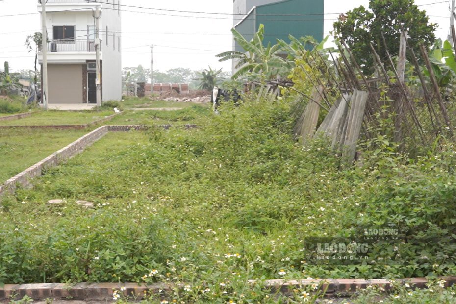 The Ministry of Agriculture and Environment clarifies the calculation of residential land allocation limits (land for residential purposes) when changing land use purposes. Photo: Nhu Ha