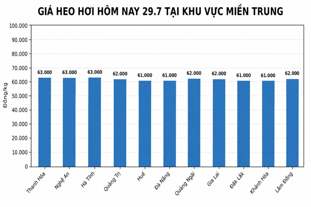 Giá heo hơi hôm nay 29.7 tại khu vực miền Trung. Đồ họa sử dụng AI 