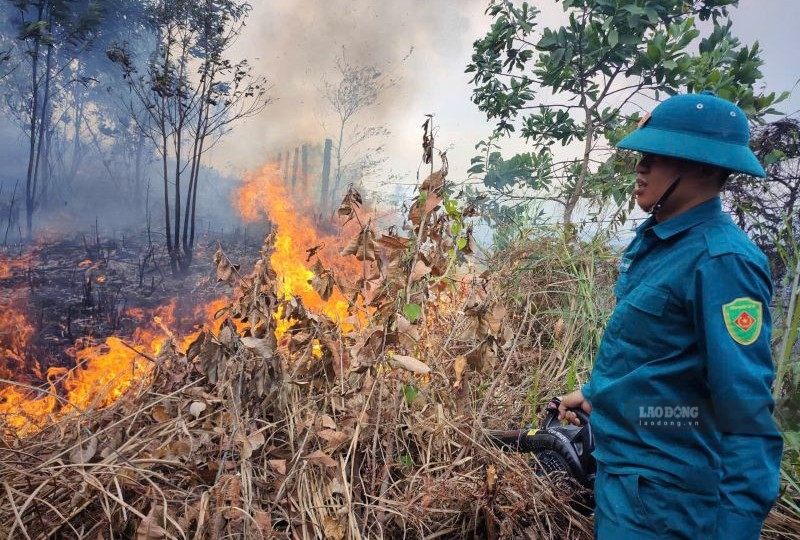 People carelessly treating vegetation causing forest fires in Ba Na commune, Da Nang. Photo: Nguyen Hoang