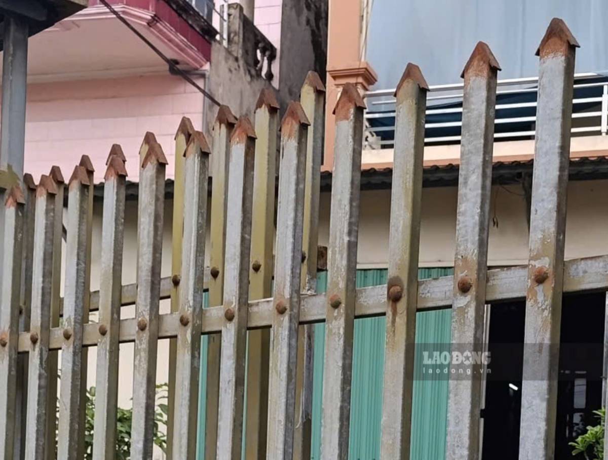 The man died after colliding with a fence in Hai Hung commune, Ninh Binh province. Illustrative photo: Ha Vi