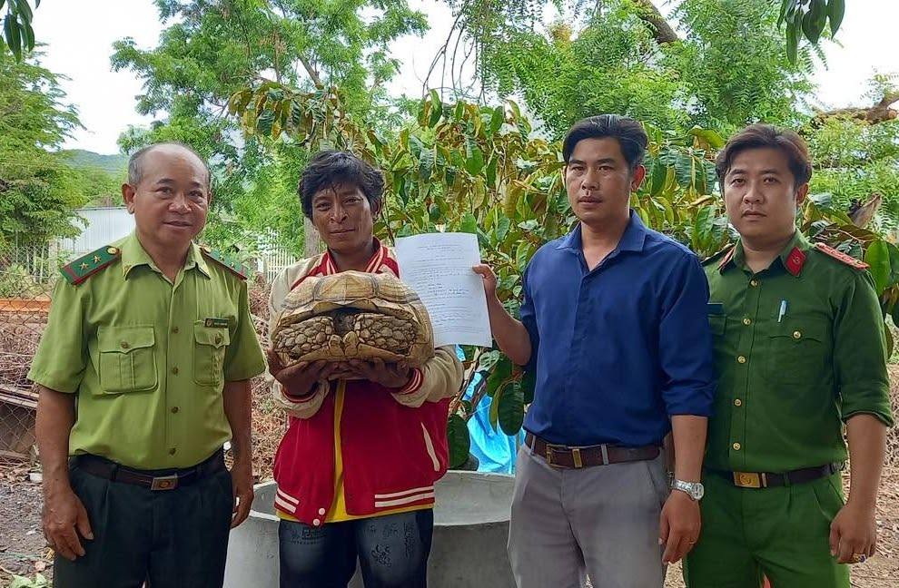 Les habitants remettent volontairement l'individu de tortue à ergots aux gardes forestiers et à la police. Photo: Fournie par la police de la commune de Phước Hậu