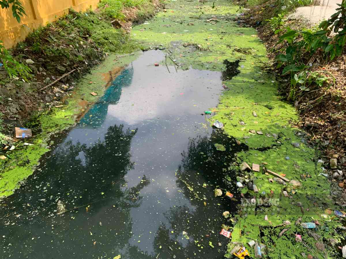 Khu vực kênh An Lá