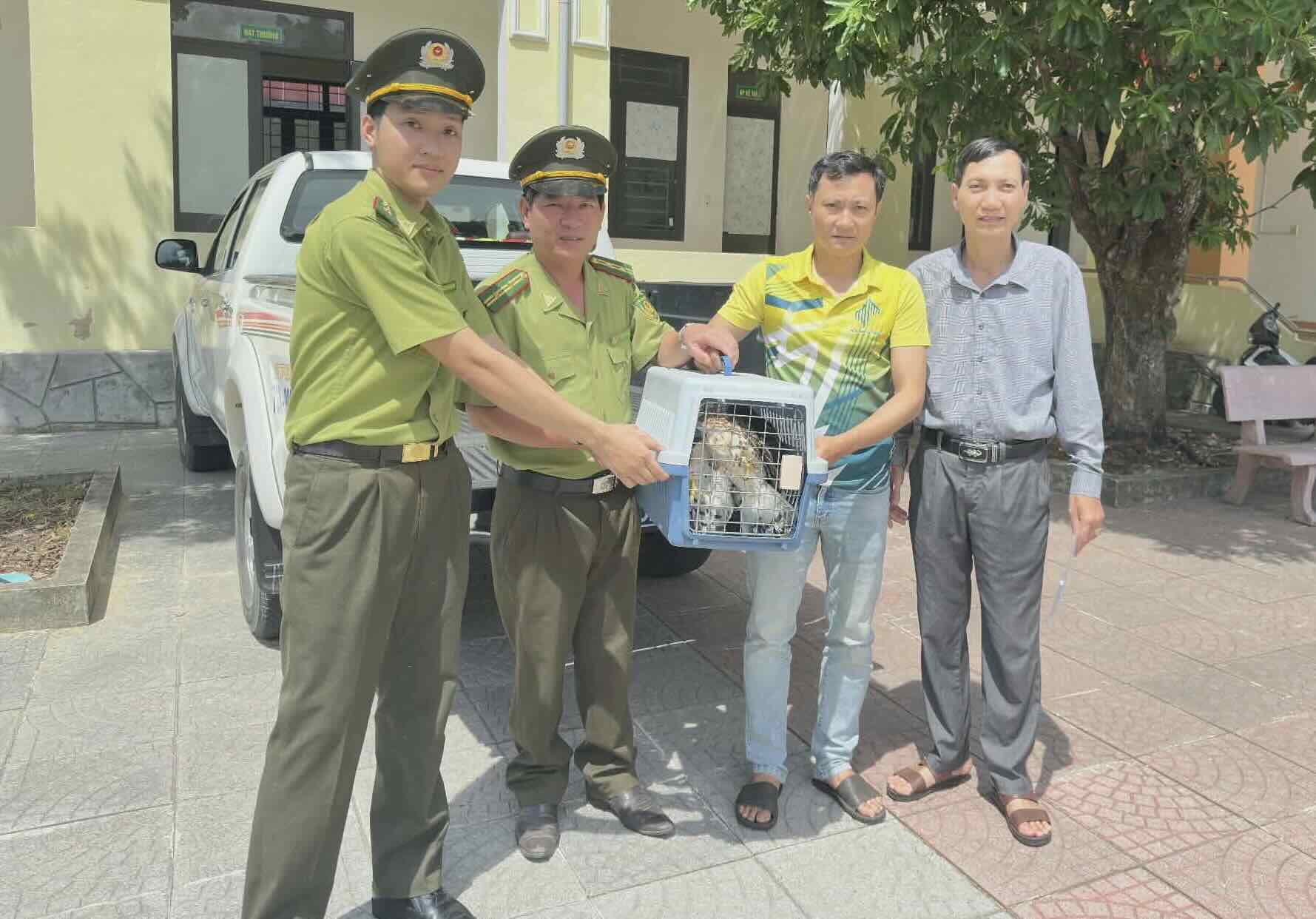 2 Indian Aigle individuals handed over to functional agencies. Photo: Thanh Thien