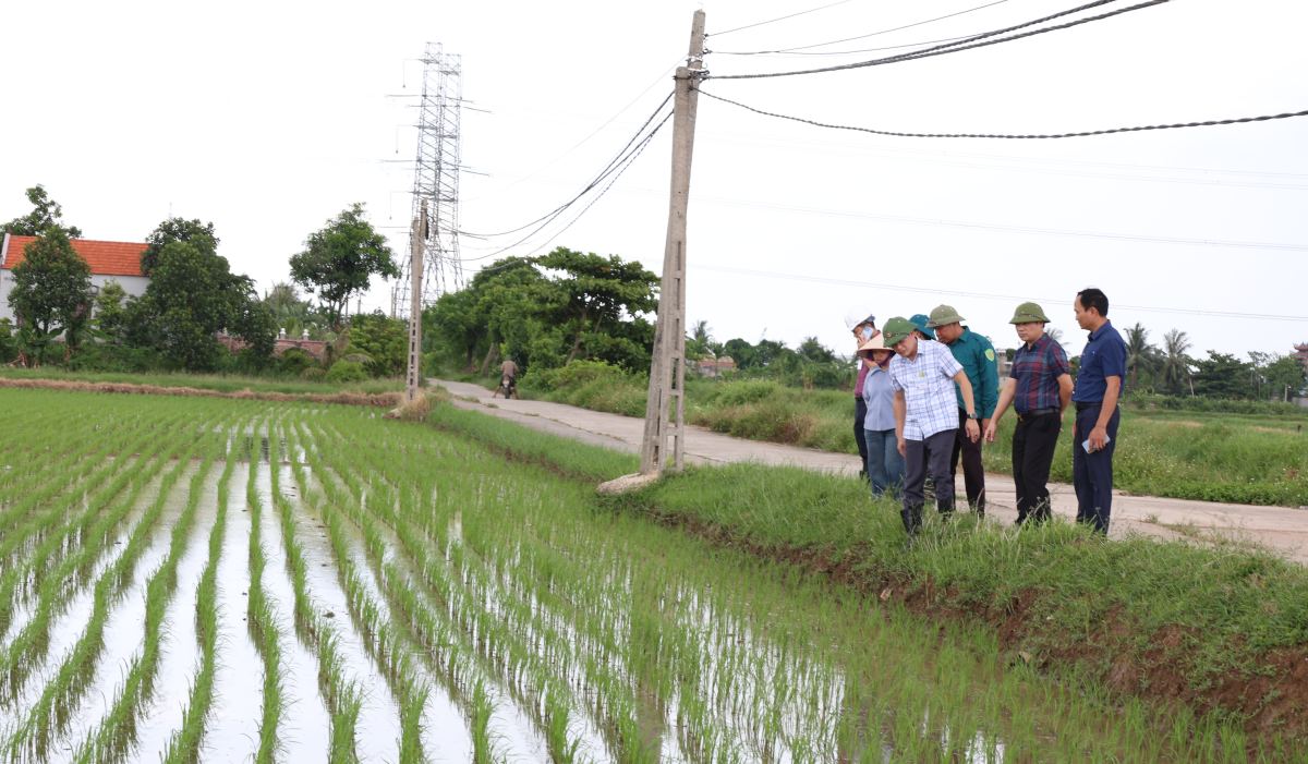Leaders of Hop Tien commune inspect storm No. 1 prevention and control work at flooded risk points. Photo: Hop Tien e-Portal, Hai Phong