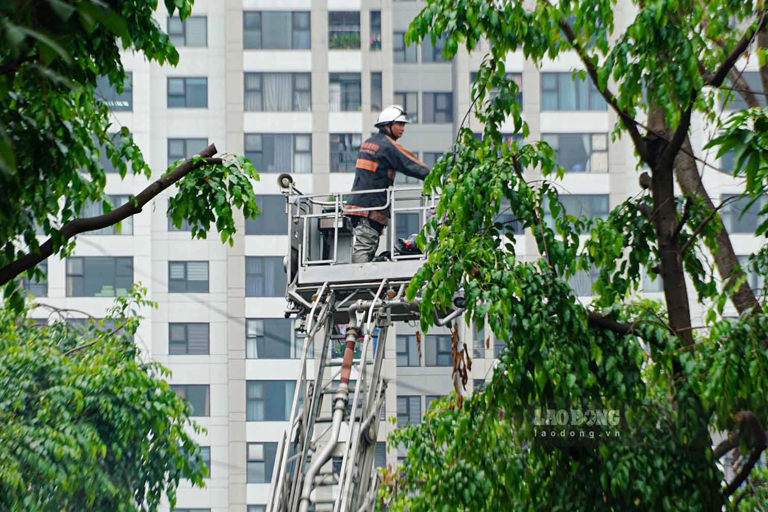 Lực lượng chức năng đã phong tỏa hiện trường vụ cháy. Cảnh sát sử dụng xe thang tiếp cận từng tầng của ngôi nhà để tìm kiếm người mắc kẹt.