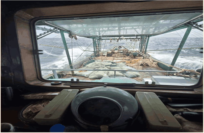 Image of fishing vessel directly participating in coordinating the search and rescue of fishing vessel QN-90568-TS. Photo: Provided by the Vietnam Fisheries Trade Union.