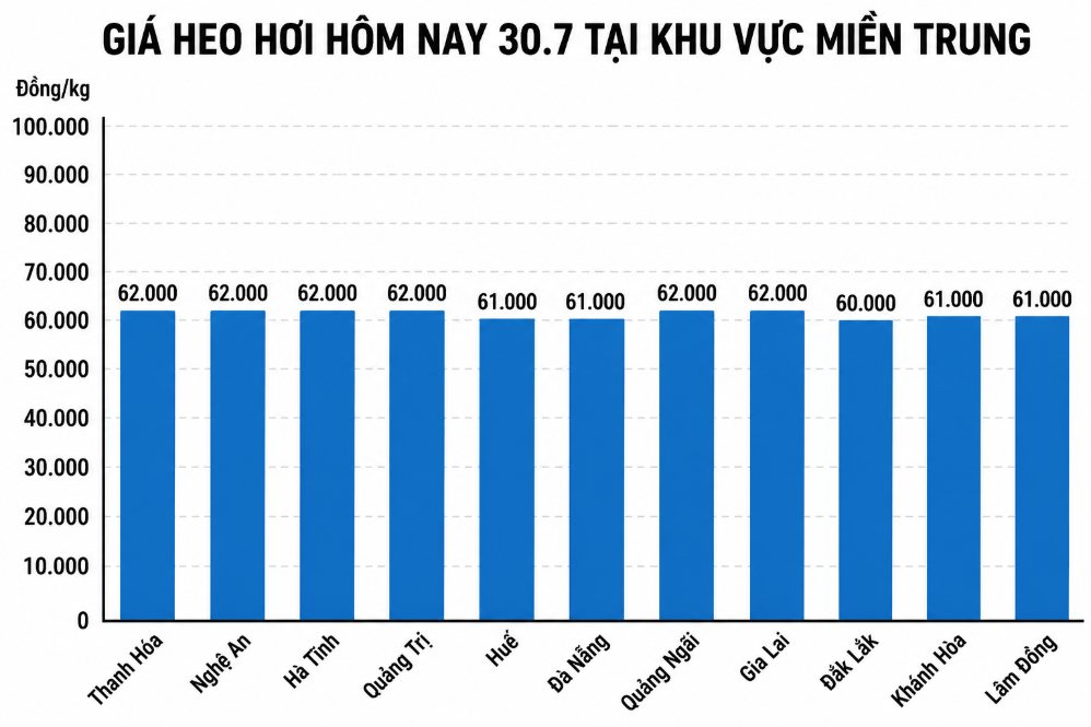 Giá heo hơi hôm nay 30.7