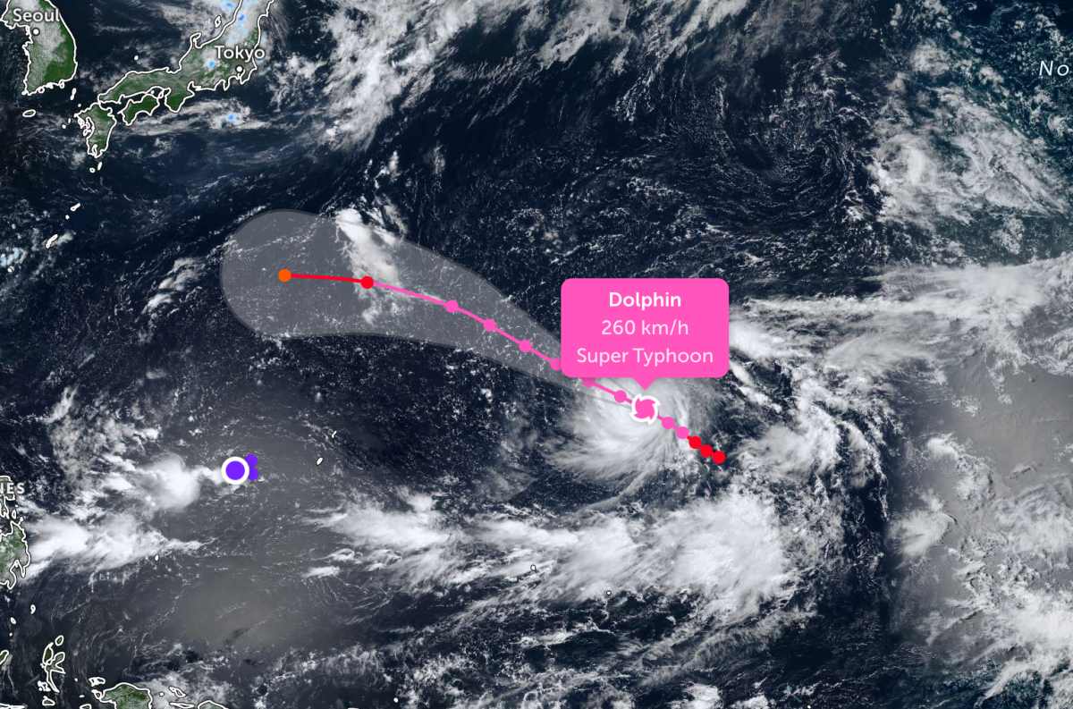 Mise à jour de la trajectoire du super typhon Dolphin dans l'océan Pacifique. Photo: JTWC