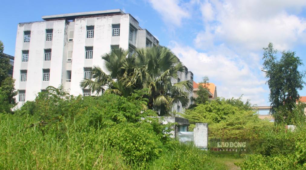 Nhiều năm không sử dụng, cỏ mọc um tùm. Ảnh: Nhật Hồ.