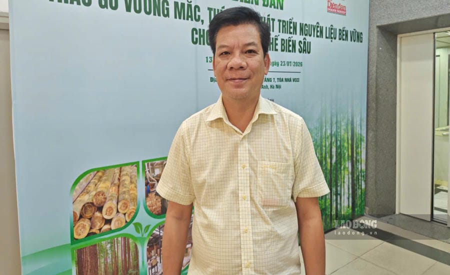 Mr. Nguyen The Mai - General Director of May Forestry Joint Stock Company. Photo: Tuyet Lan