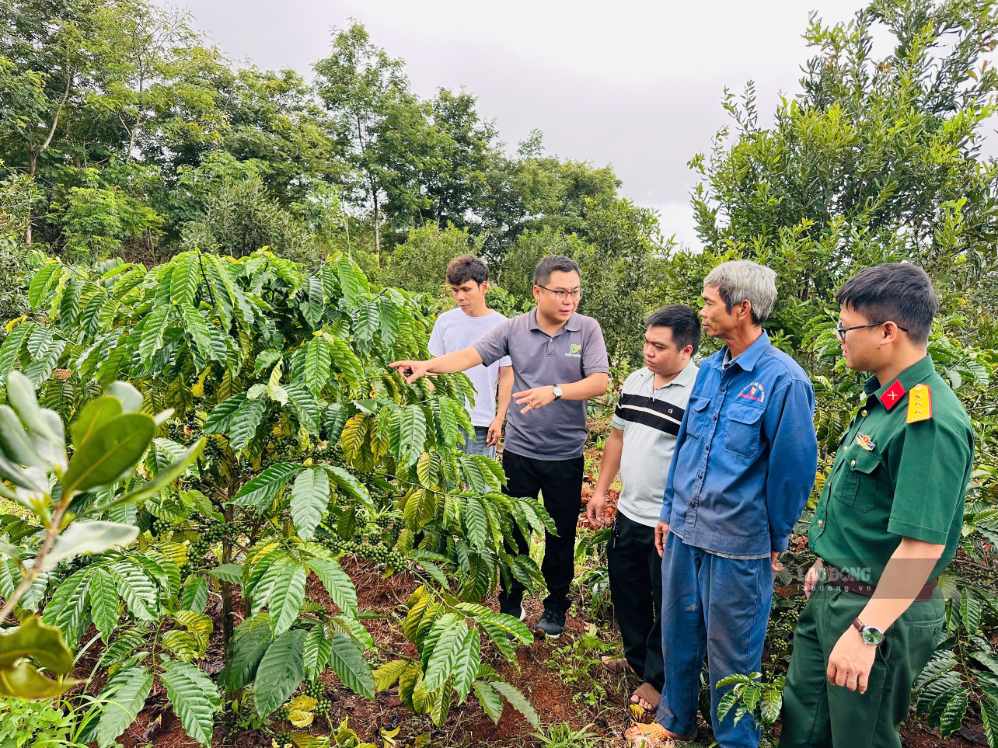 Technical training on garden care for workers. Photo: Linh Khoi