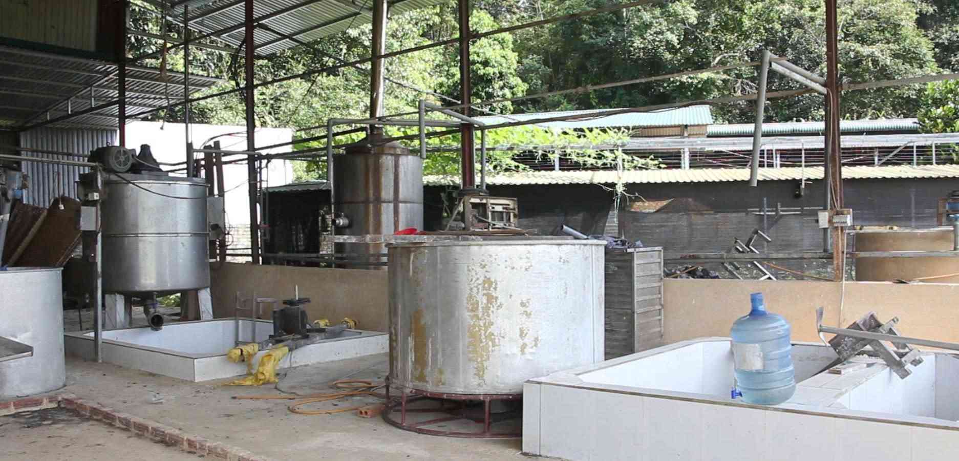 The production facility has collected about 583.25 tons of galangal waste in 5 ponds. Photo: Dien Bien Police