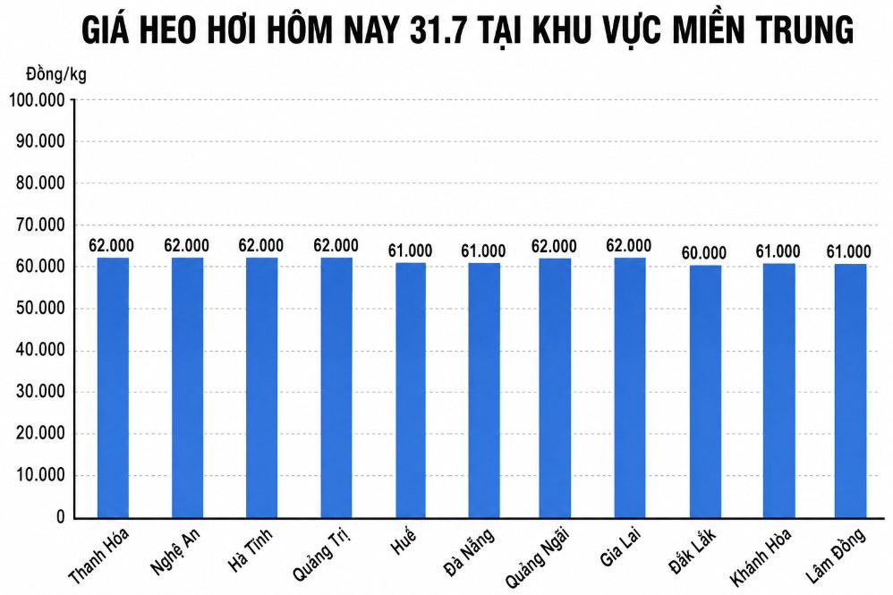 Giá heo hơi hôm nay 31.7 tại khu vực miền Bắc. Đồ họa sử dụng AI