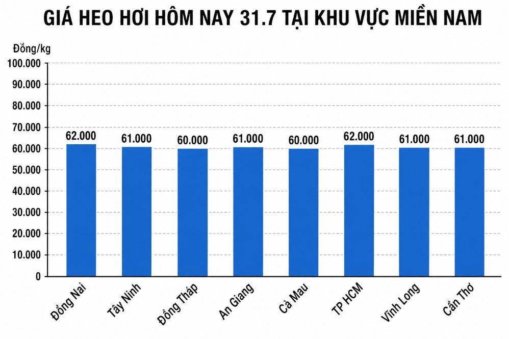 Giá heo hơi hôm nay 31.7 tại khu vực miền Nam. Đồ họa sử dụng AI